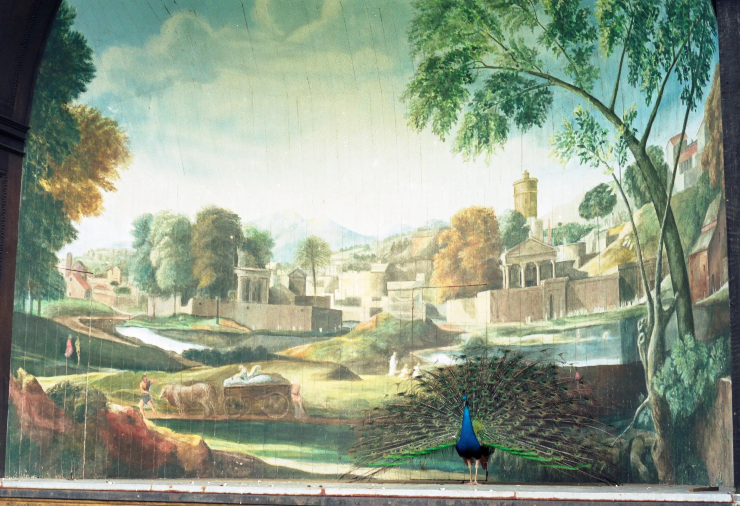 larmar tree (12) edit.jpg