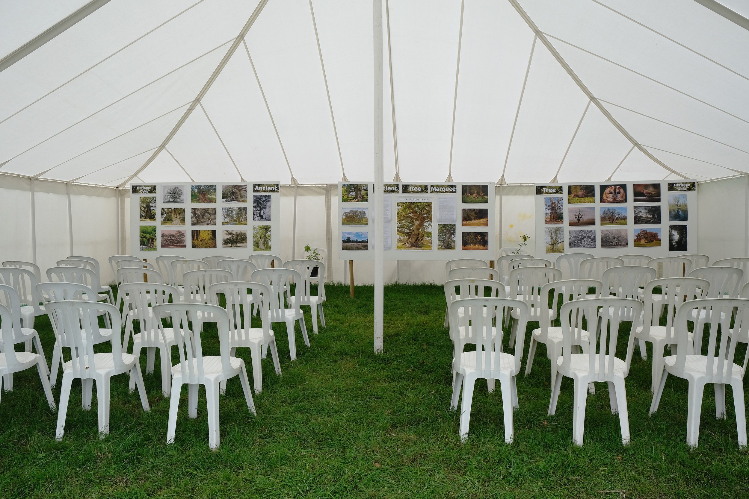 chairs (2025_06_05 14_24_08 UTC).jpg