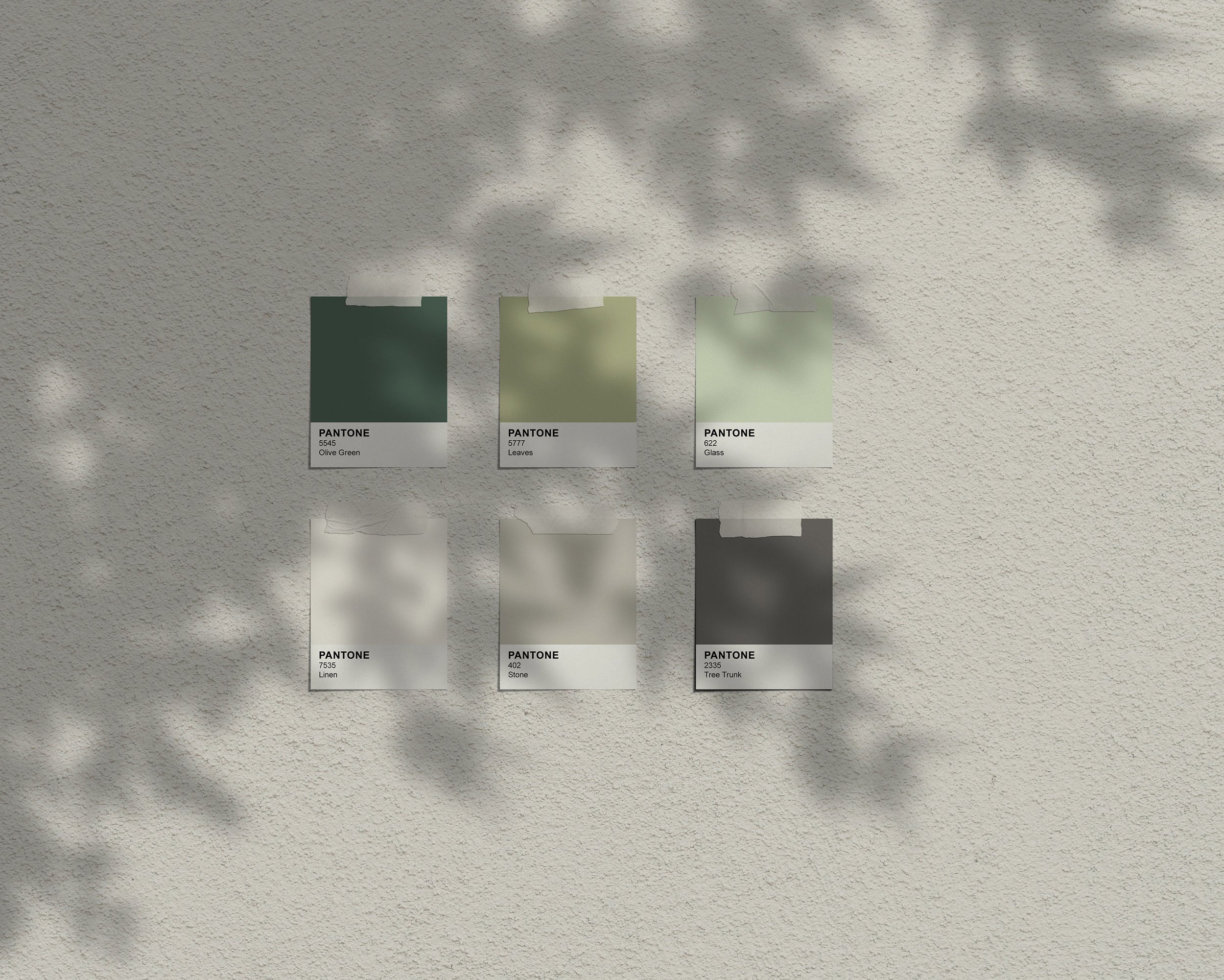 colour mock up copy.jpg