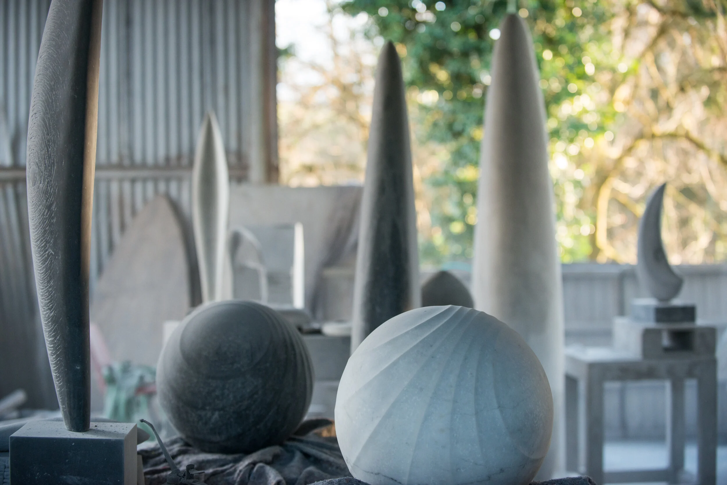 DSC_5318colour.jpg