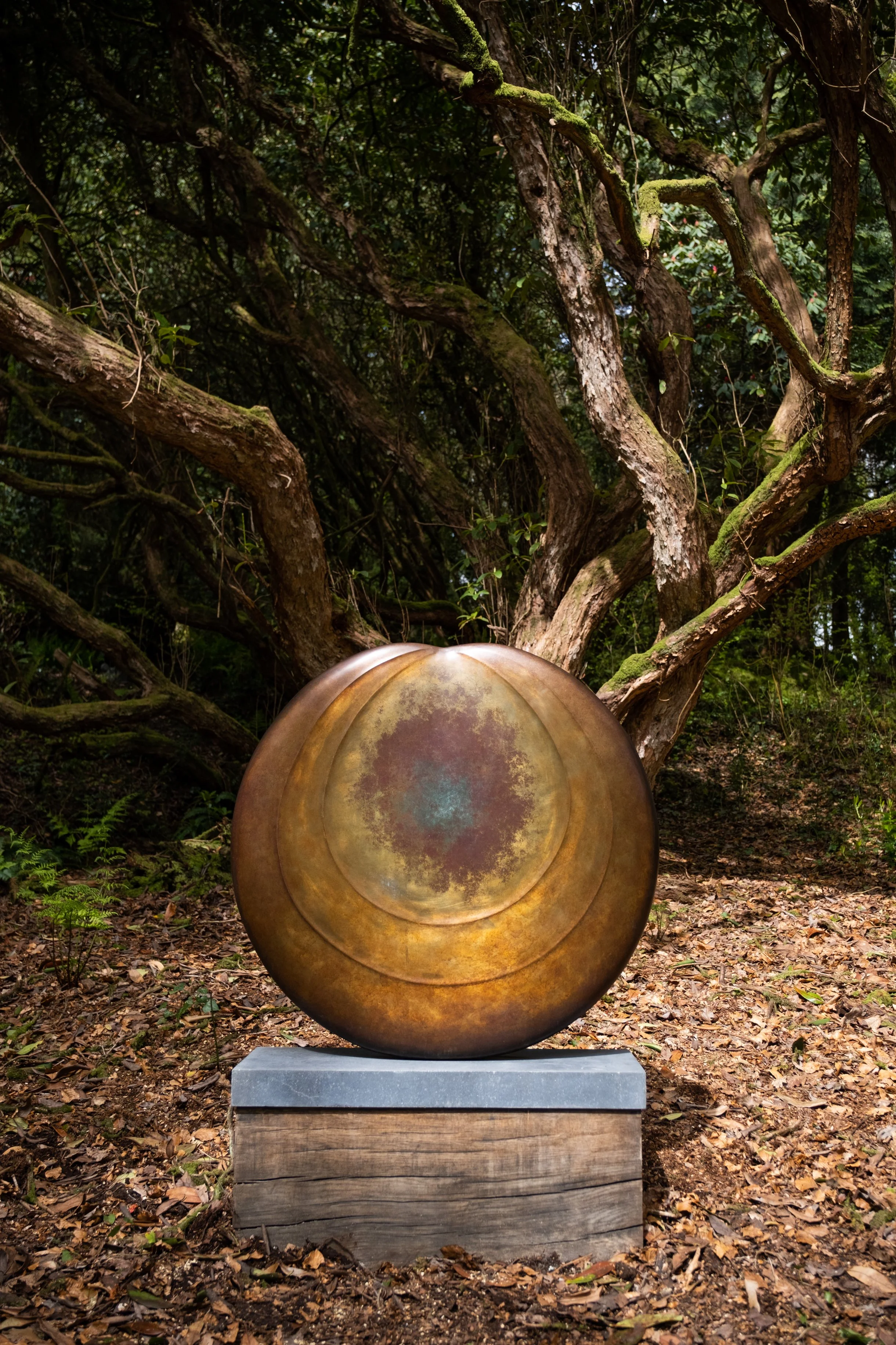 Aurorean Moon 
bronze (no. 2 of 9) 
97 x 97 x 12 cms
£ 36,000