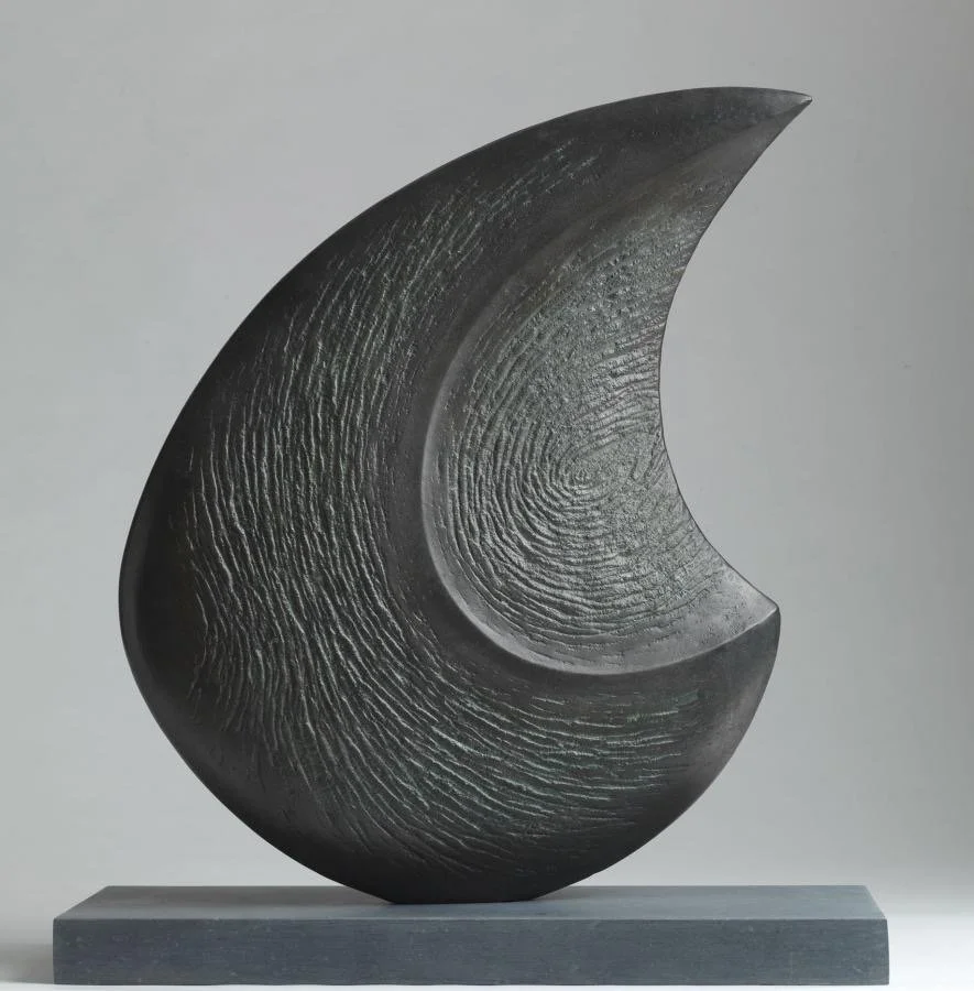 Dorsalis bronze, edition of 11  (7/11) 
42 x 35 x 8 cms 
£7,950 