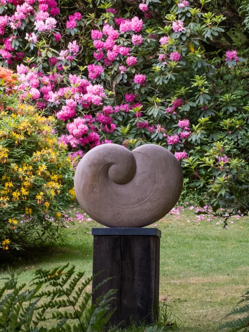 DSCF7974-2.jpg