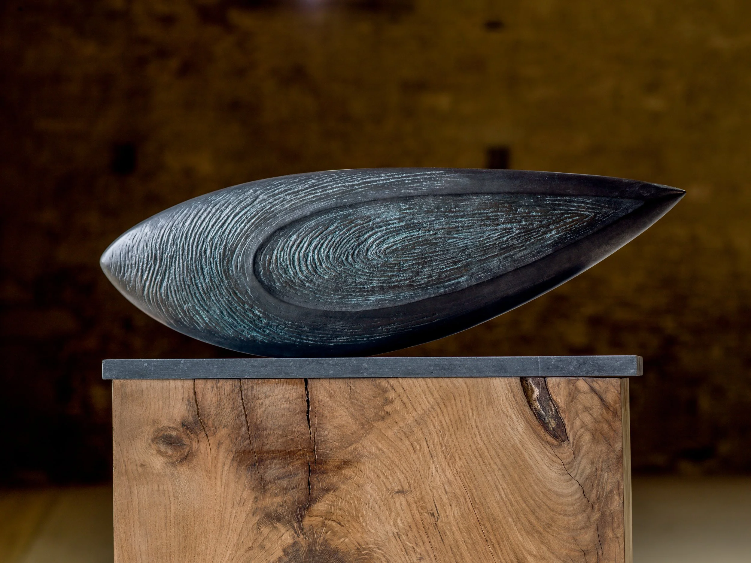 Swallowtail Form 
bronze (no. 8 of 11) 
20 x 61 x 8cms 
£7,950