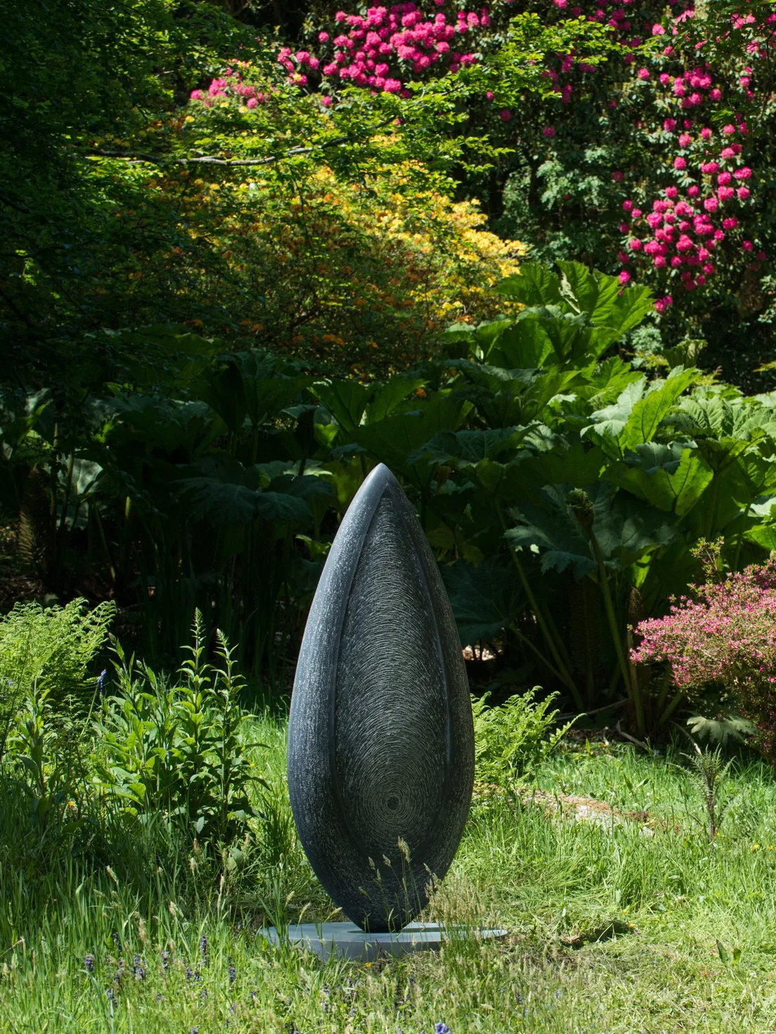 DSC_9999-2.jpg