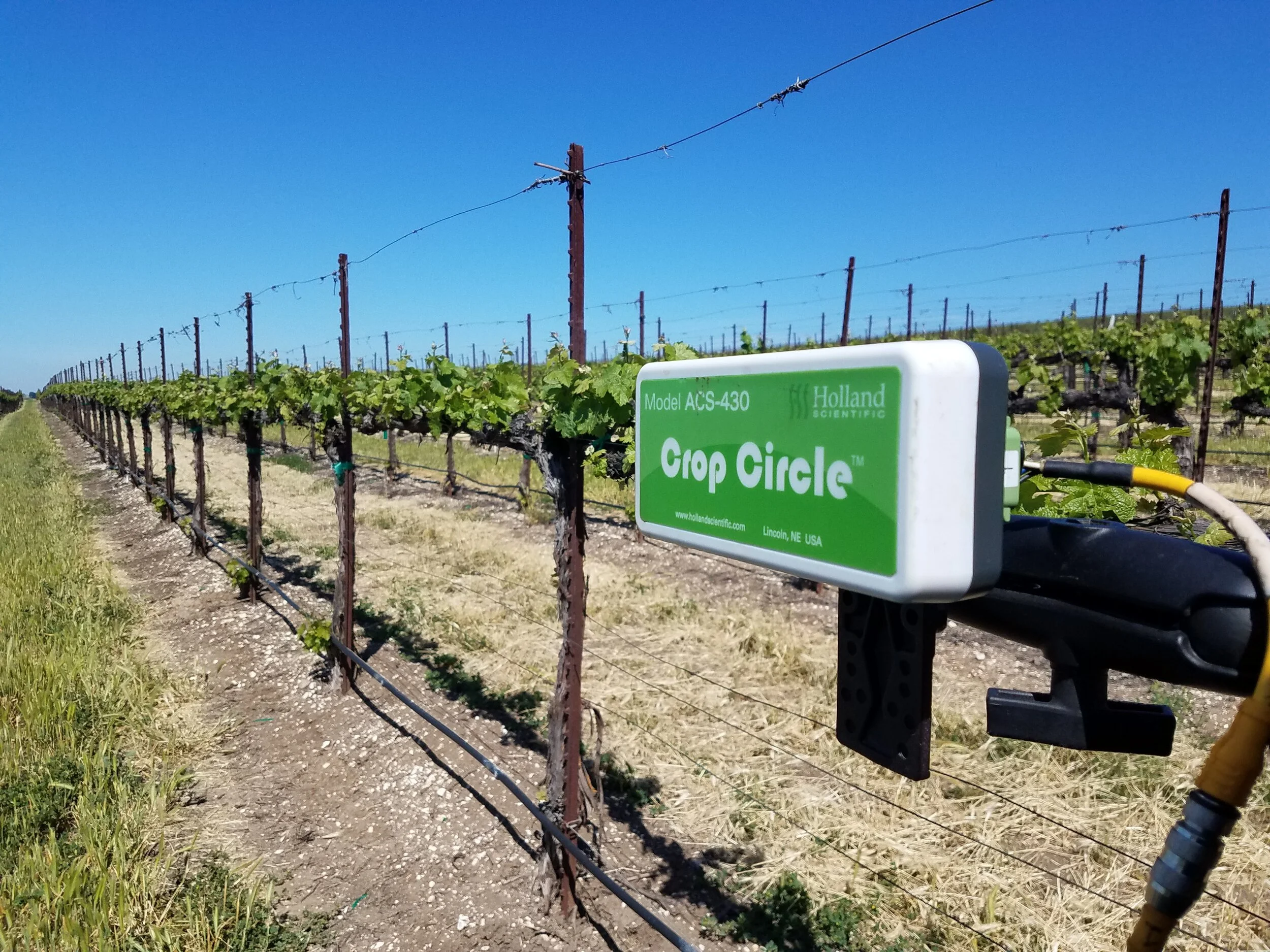 Webinar Vineyard monitoring with remote sensing data for