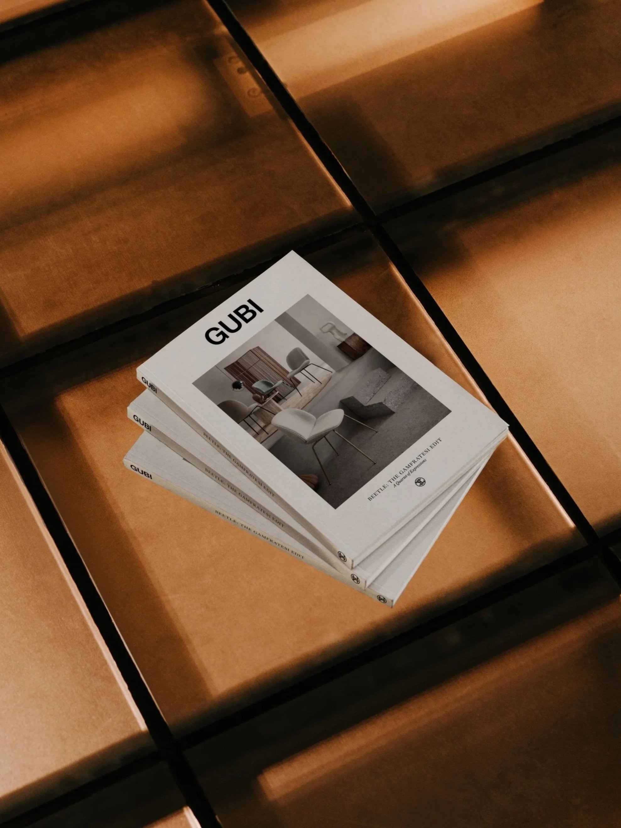Gubi_GamFratesiEdit_Booklet.jpg