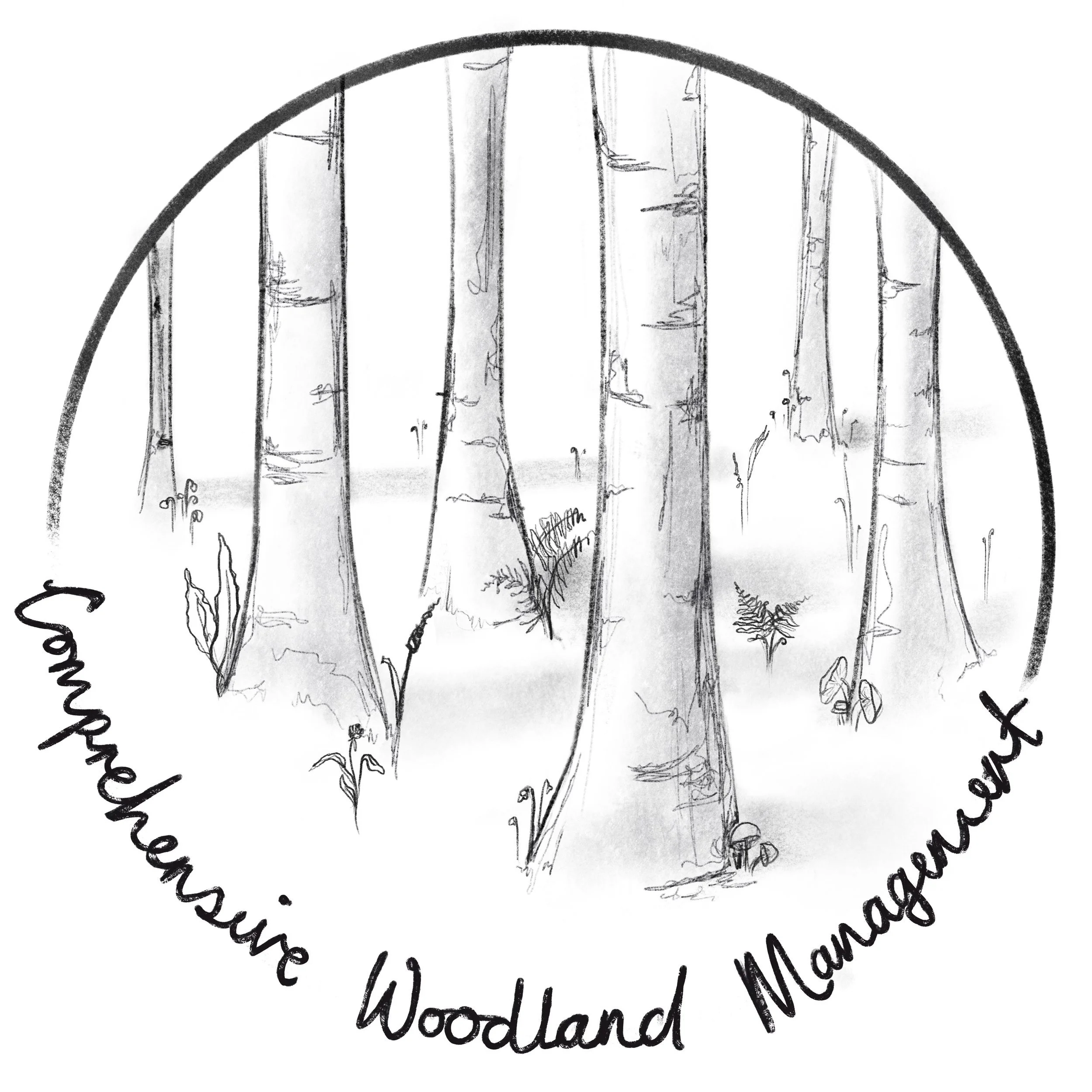 Final_Composition 2.jpg