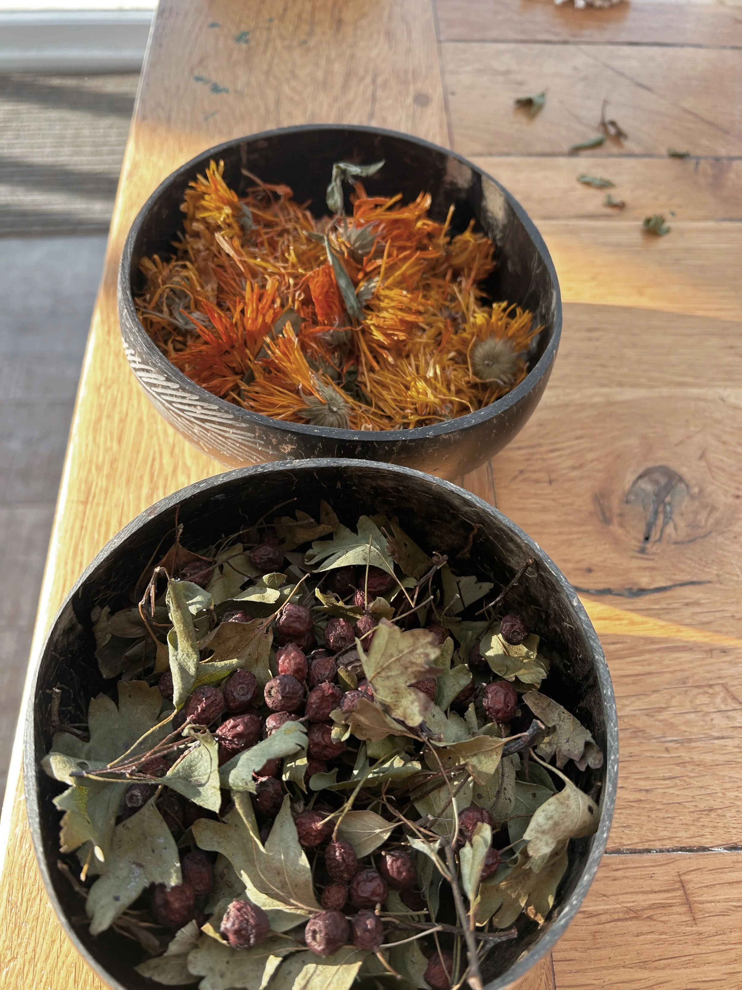 EFE97B58-1442-4F44-9870-26ABB0FB9A9A.jpeg (Copy) (Copy)