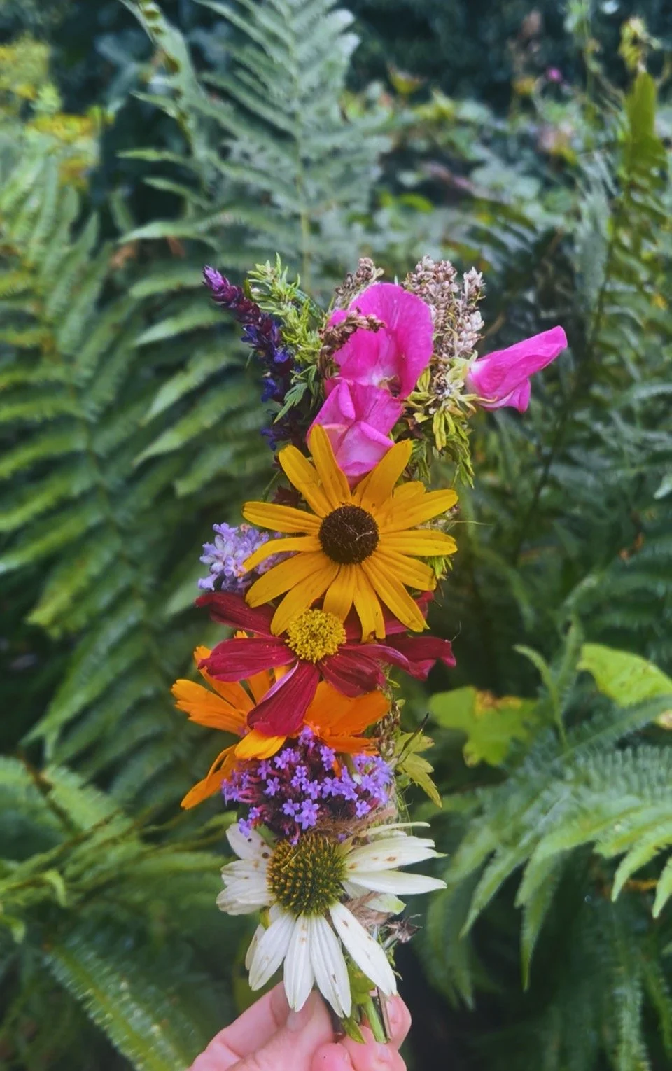 Autumn Equinox & Earth Medicine Circle: Mugwort Dreaming