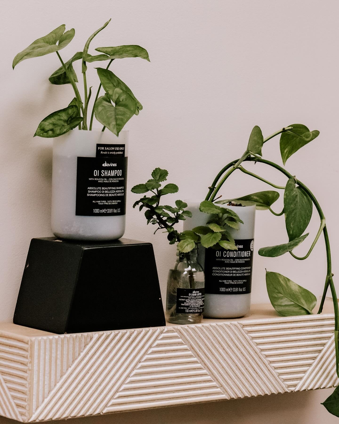 Happy Earth Day! Let&rsquo;s celebrate with a plant giveaway!! We have lots of propagated plants around the salon ready for YOU to take home. Stop by or pick one up at your appointment today. 

How to pot a propagated plant: transfer into soil that h