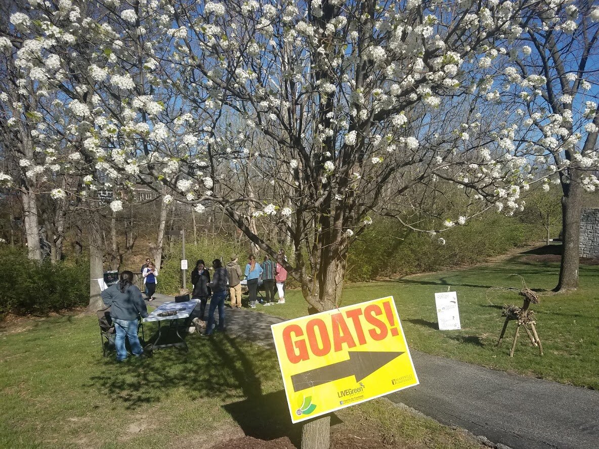 IntrotoGoats2018.jpg