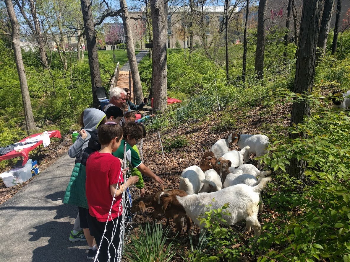 Kidsandkids2017.jpg