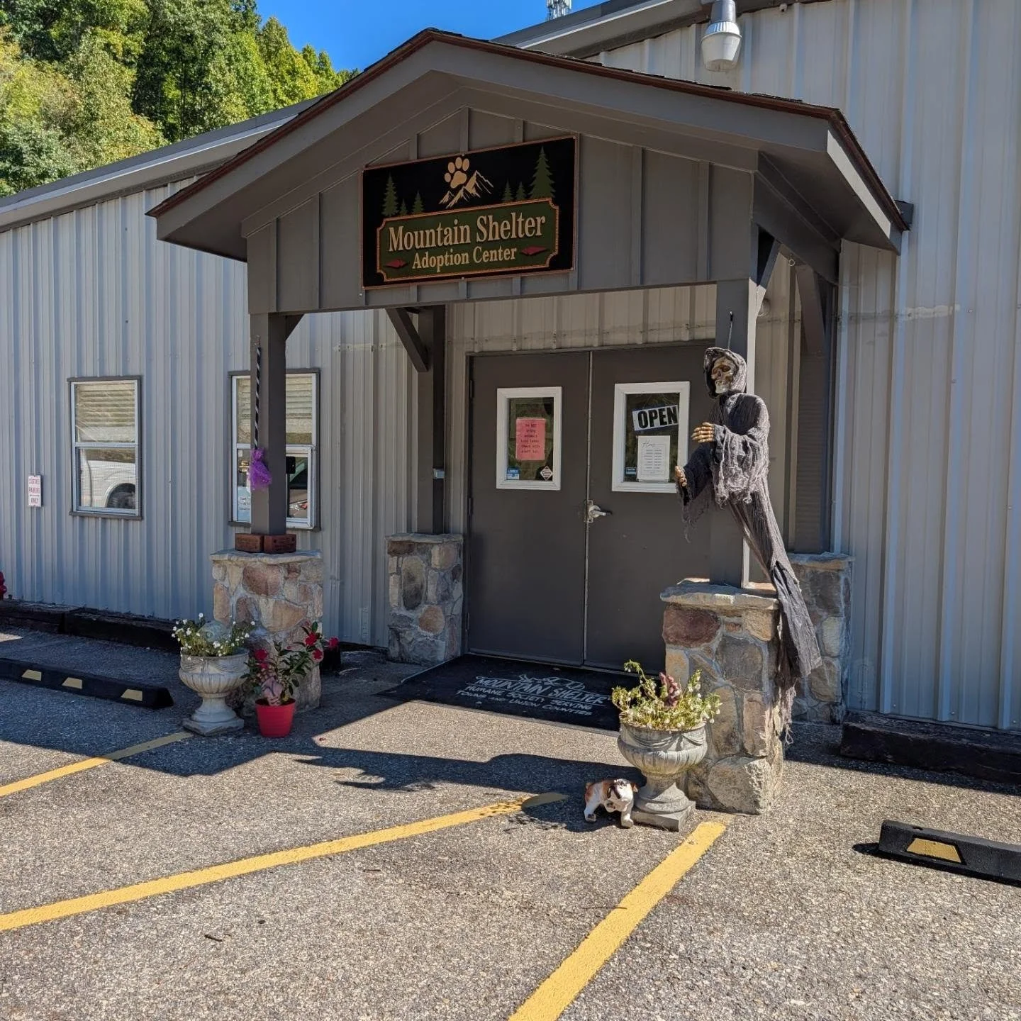 The rebrand continues for the Mountain Shelter of Blairsville! New signs are up at the adoption center and pet corner! 

We're excited to be involved in this rebrand and look forward to what's next!