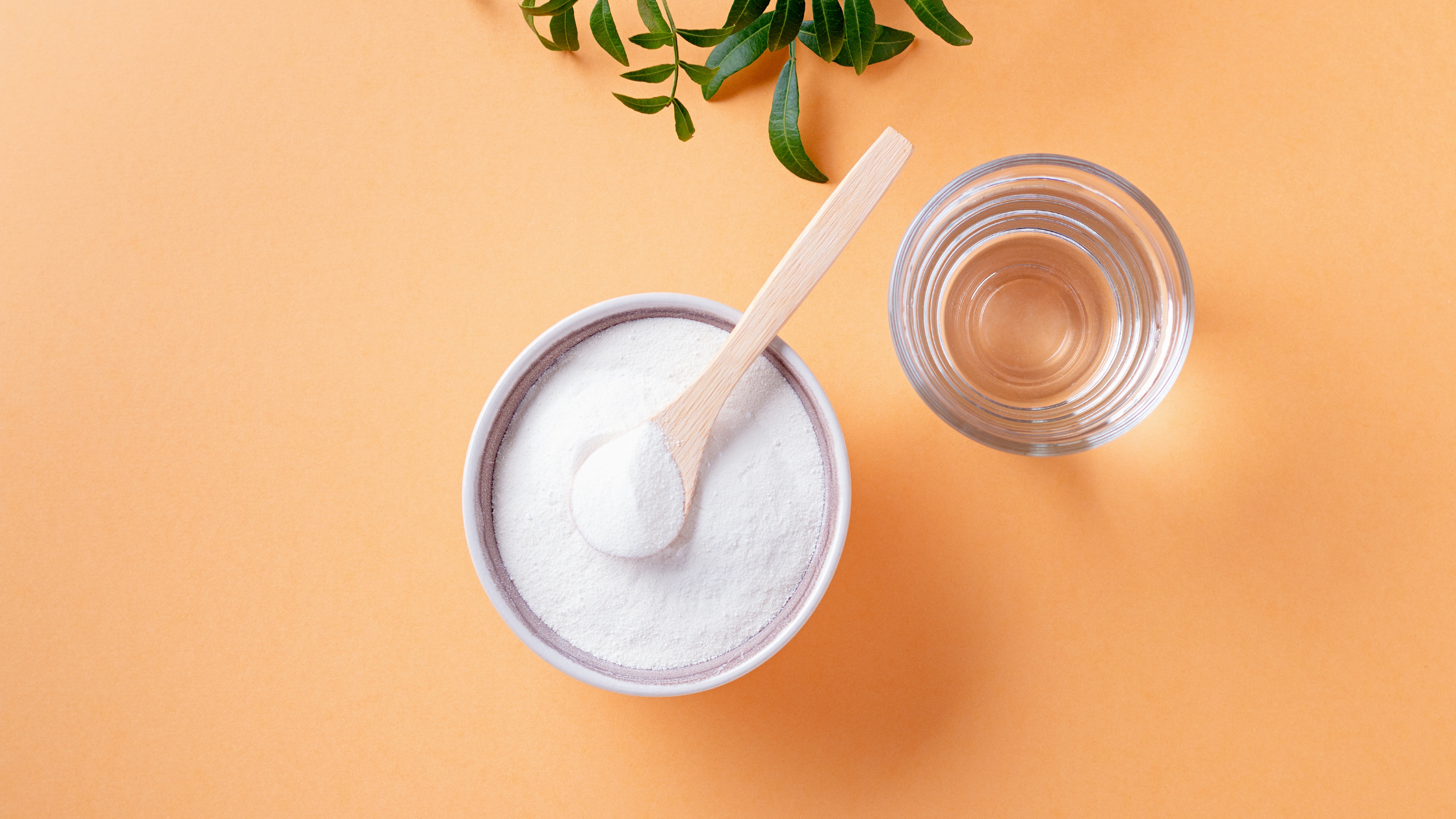 Metagenics Glutagenics: A Powerful Supplement for Gut Health | Puretyclinicshop.com