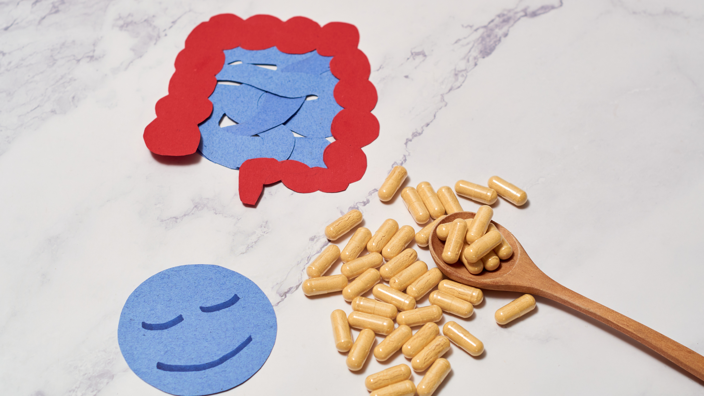 Microbiome Labs Pyloguard: For Optimal Digestive Health | Puretyclinicshop.com