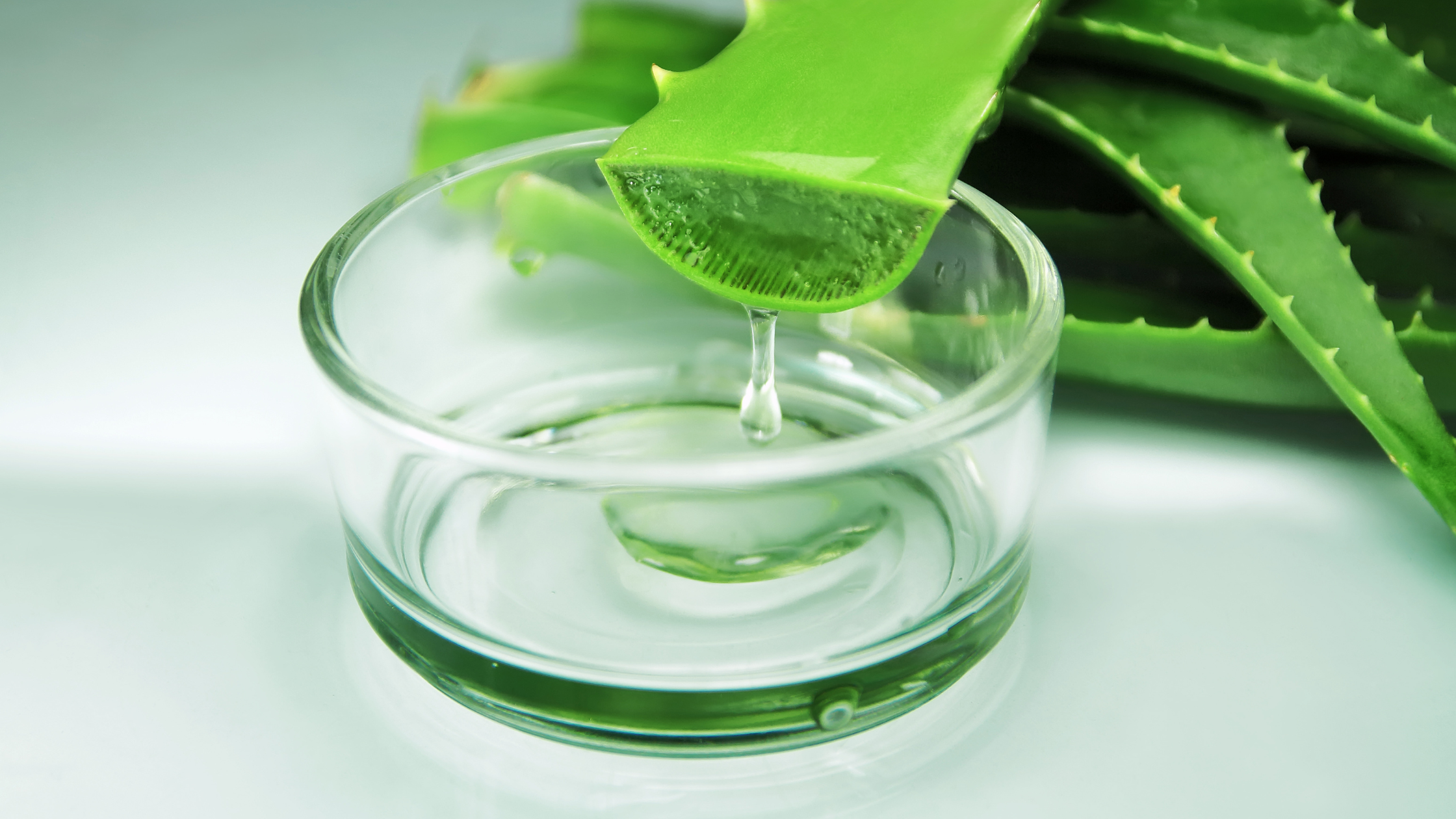 Ortho Molecular Super Aloe 450: Supporting Overall Wellness | Puretyclinicshop.com