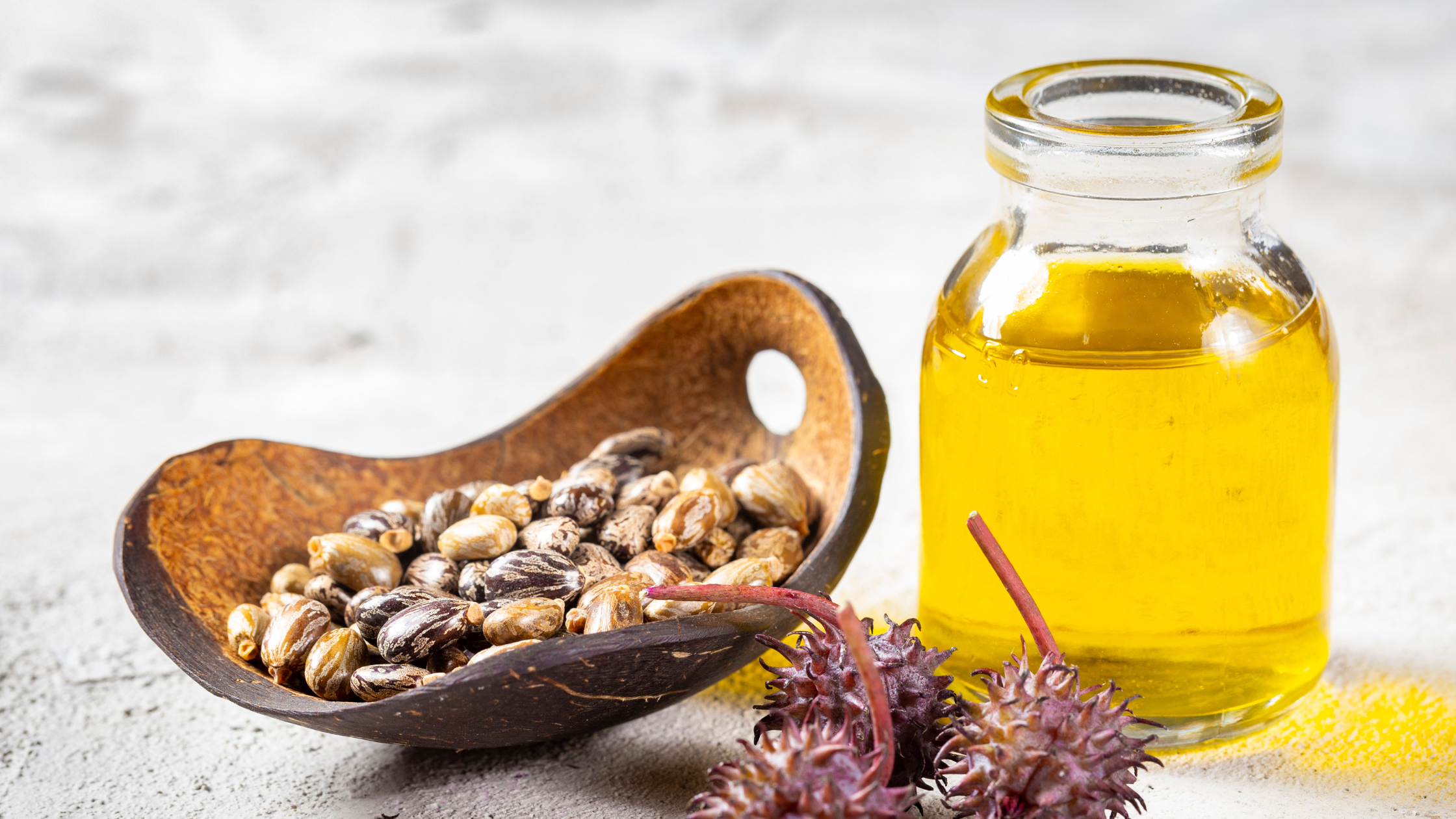 Klaire Labs Undecylex: Potential of Undecylenic Acid for Optimal Health | Puretyclinicshop.com
