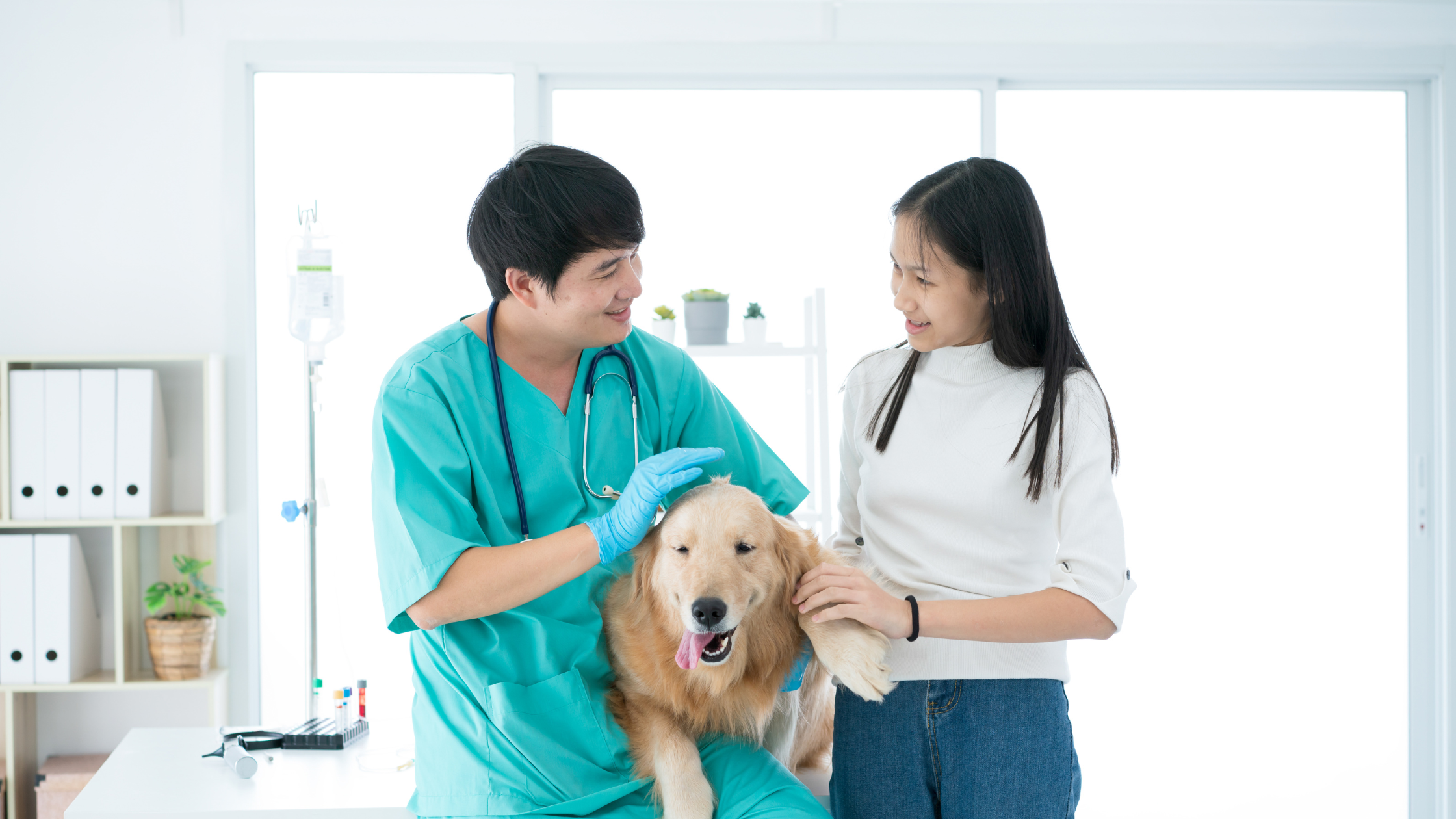 FidoSpore by Microbiome Labs: Probiotic Supplement for Canine Digestive Health | Puretyclinicshop.com