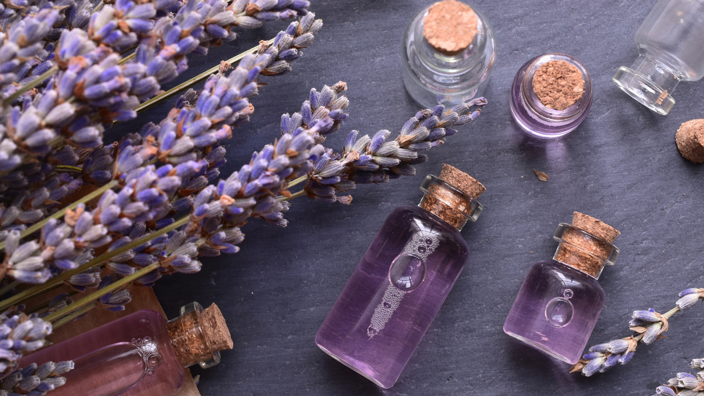 Integrative Therapeutics Lavela WS 1265: For Occasional Anxiety Relief | Puretyclinicshop.com
