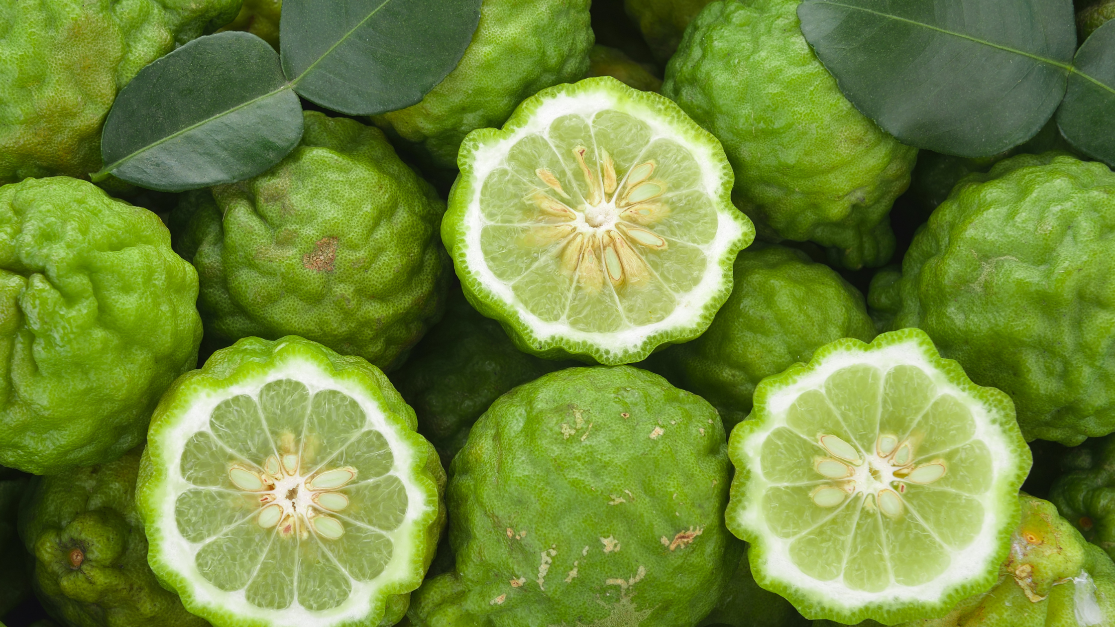 Bergamot Ortho Molecular: Benefits for Cardiovascular Health | Puretyclinicshop.com
