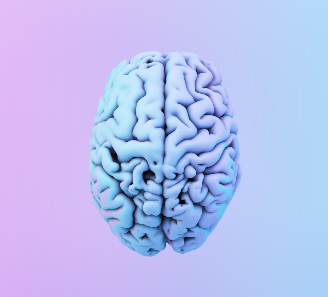 Integrative Therapeutics Prothrivers Wellness Brain: Enhances Mental Sharpness | Puretyclinicshop.com
