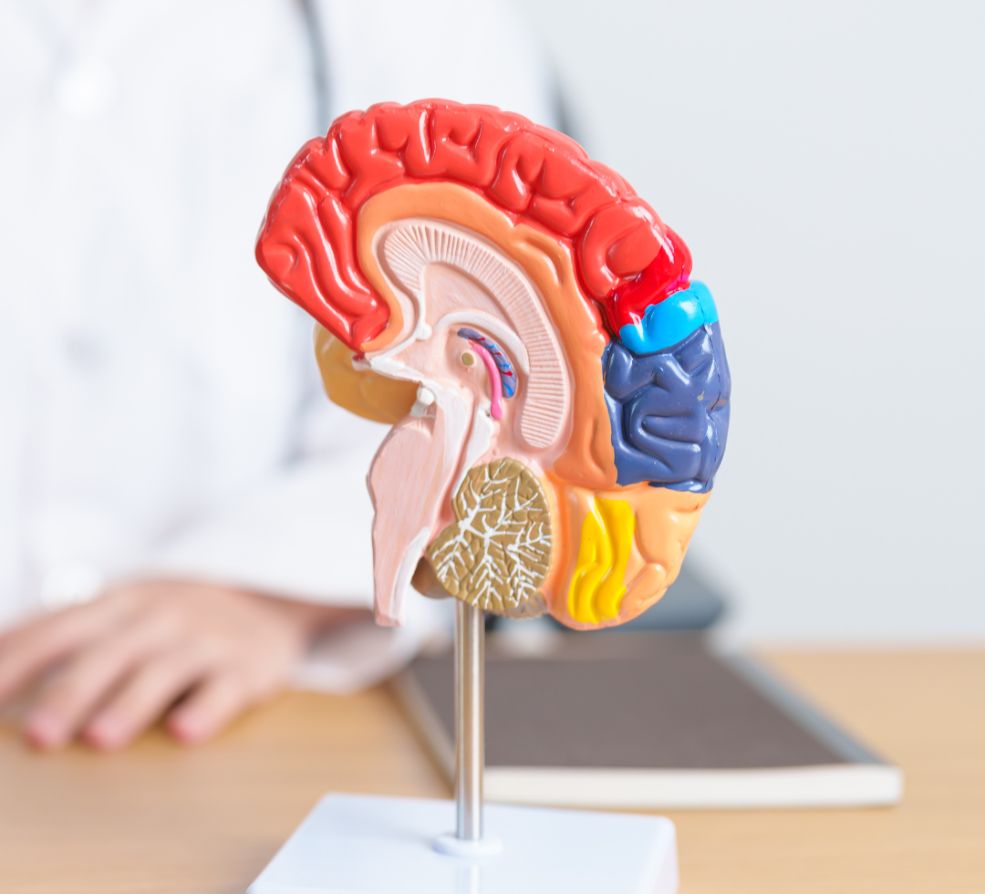 Pure Encapsulations NeuroPure: Neuronal Health and Emotional Balance | Puretyclinicshop.com