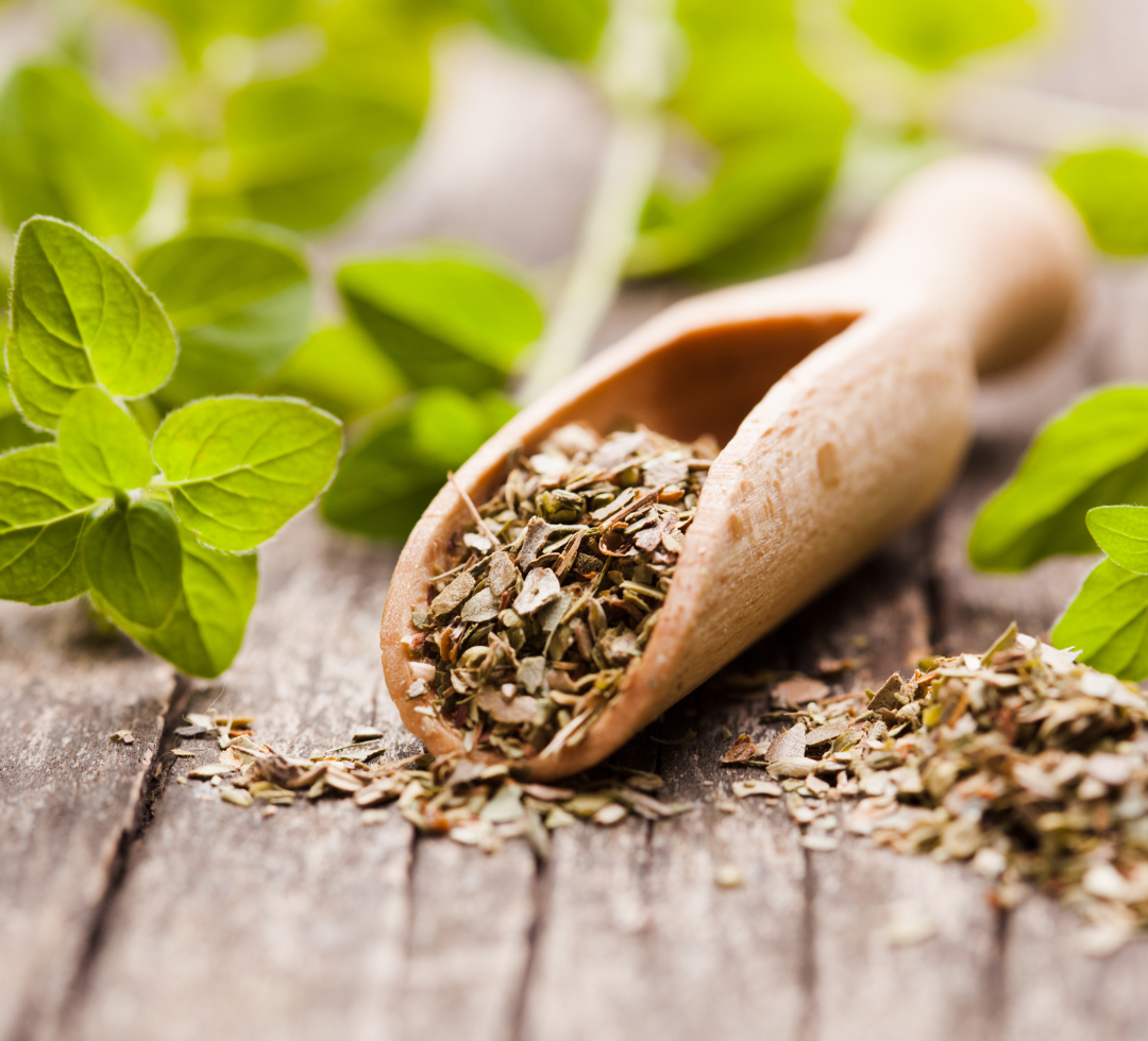 Microdefense with Oregano: Healthy Gastrointestinal Tract | Puretyclinicshop.com