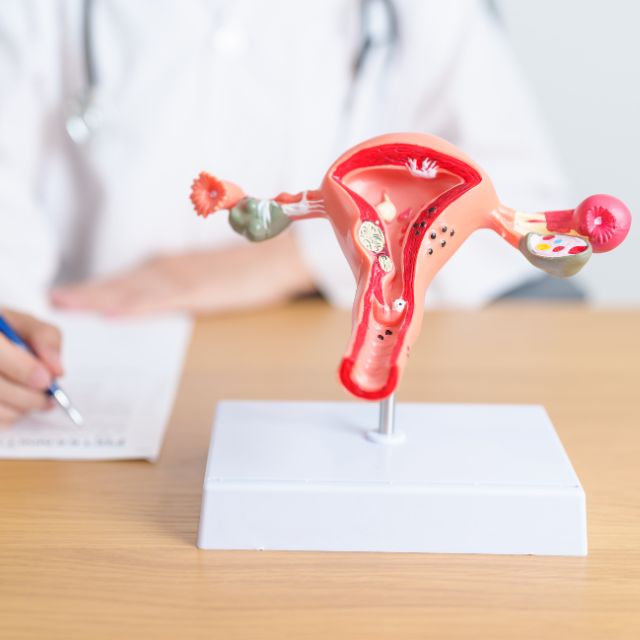 Vital Nutrients d-Pinitol 600: Supports Ovarian Health | Puretyclinicshop.com