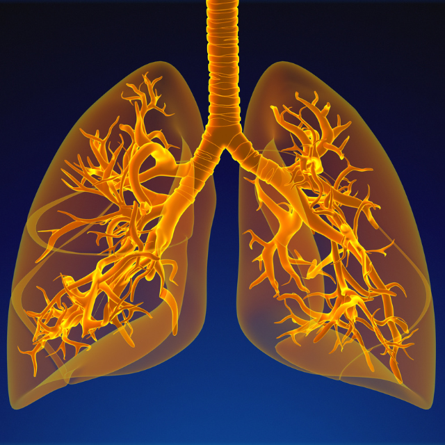 Vital Nutrients Aller-C: Respiratory and Sinus Support | Puretyclinicshop.com