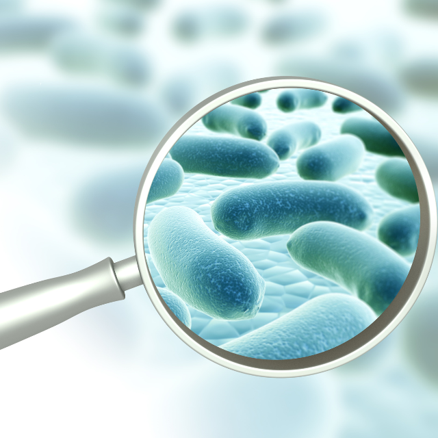 Microbiome Labs MegaMycoBalance: Optimal Microbial Balance | Puretyclinicshop.com