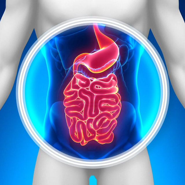 Vital Nutrients Cellulose Fiber: Promoting Digestive Wellness | Puretyclinicshop.com