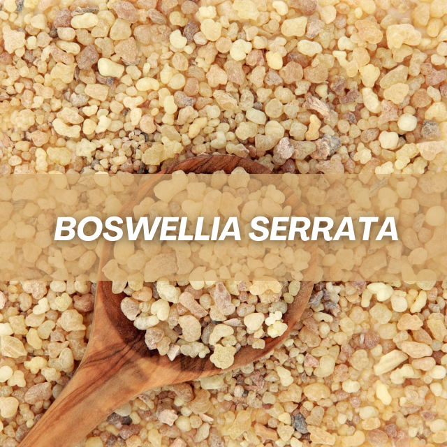 Pure Encapsulations Boswellia Supplement: Joint and Gastrointestinal Health Benefits | Puretyclinicshop.com