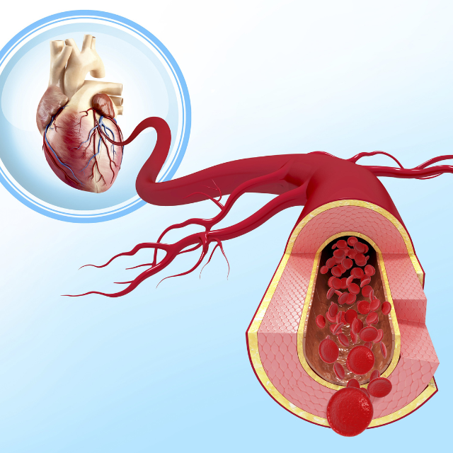 Pure Encapsulations L-Arginine Health Benefits | Puretyclinicshop.com