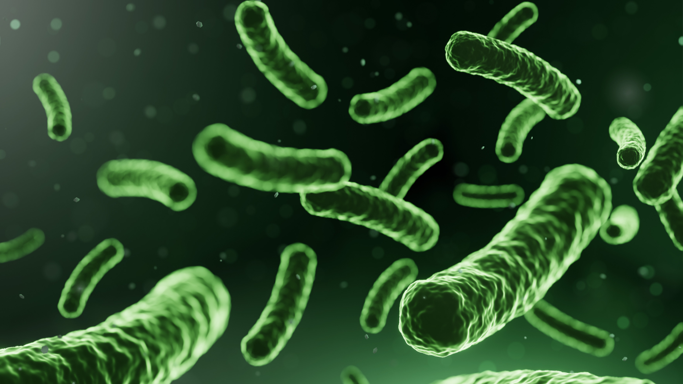 View of FidoSpore by Microbiome Labs: Probiotic Supplement for Canine Digestive ...