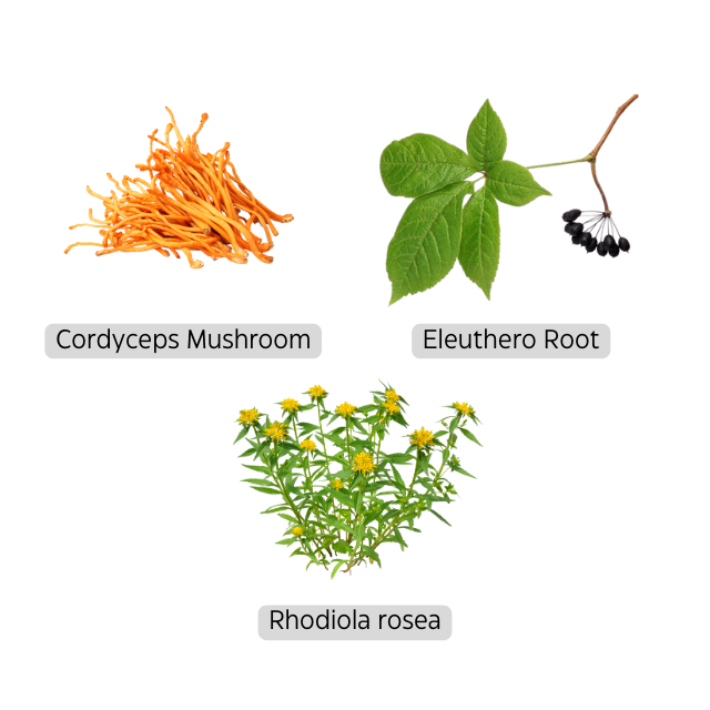 Klaire Labs Adrenamin A Comprehensive Guide to Enhanced Energy and Stamina