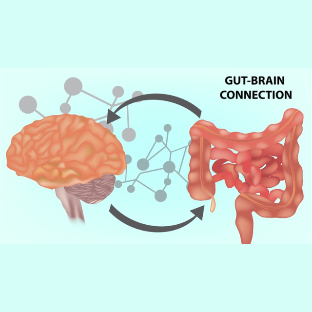 Klaire Labs Adrenamin A Comprehensive Guide to Enhanced Energy and Stamina