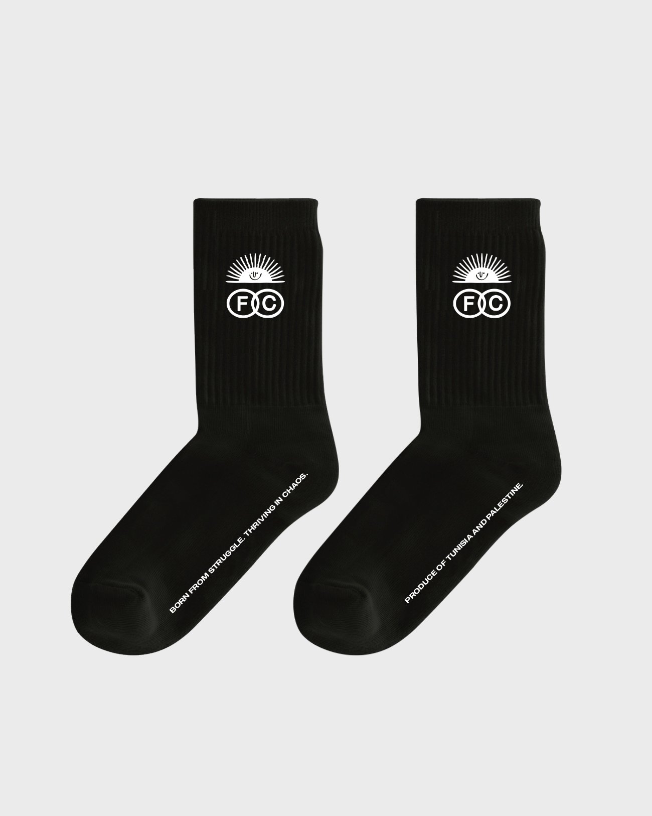 SkatePal_FichierCaché_Socks.jpg