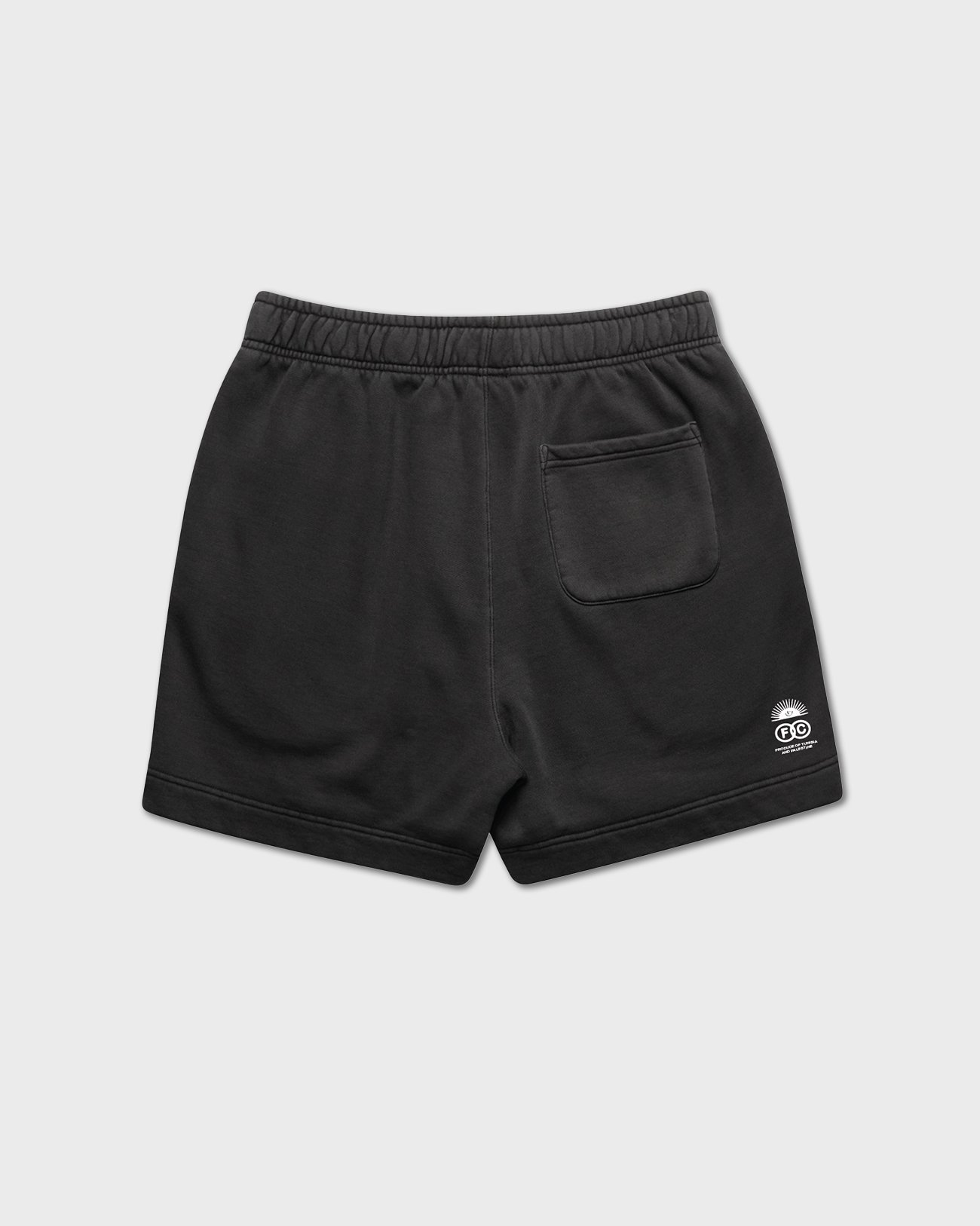 SkatePal_FichierCaché_Shorts_Back.jpg