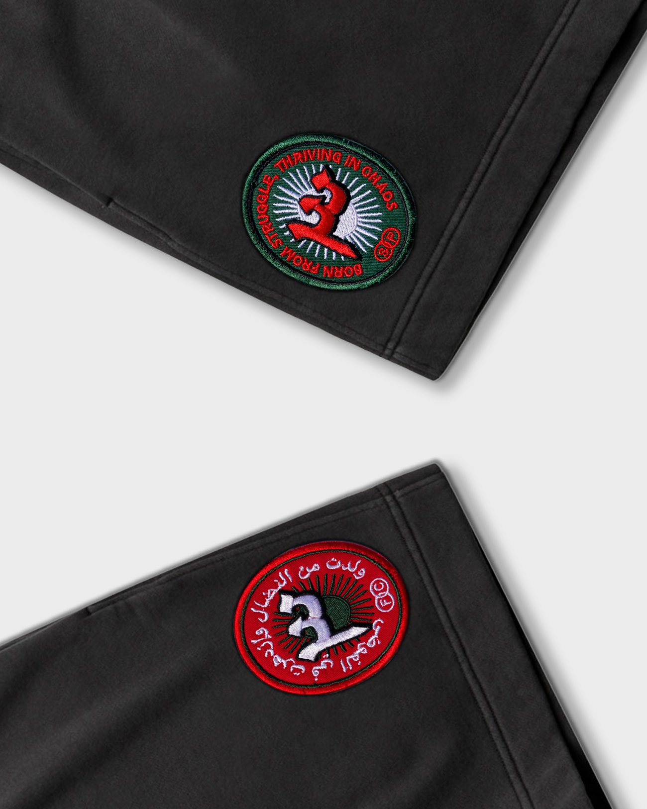 SkatePal_FichierCaché_Shorts_Front_Close.jpg