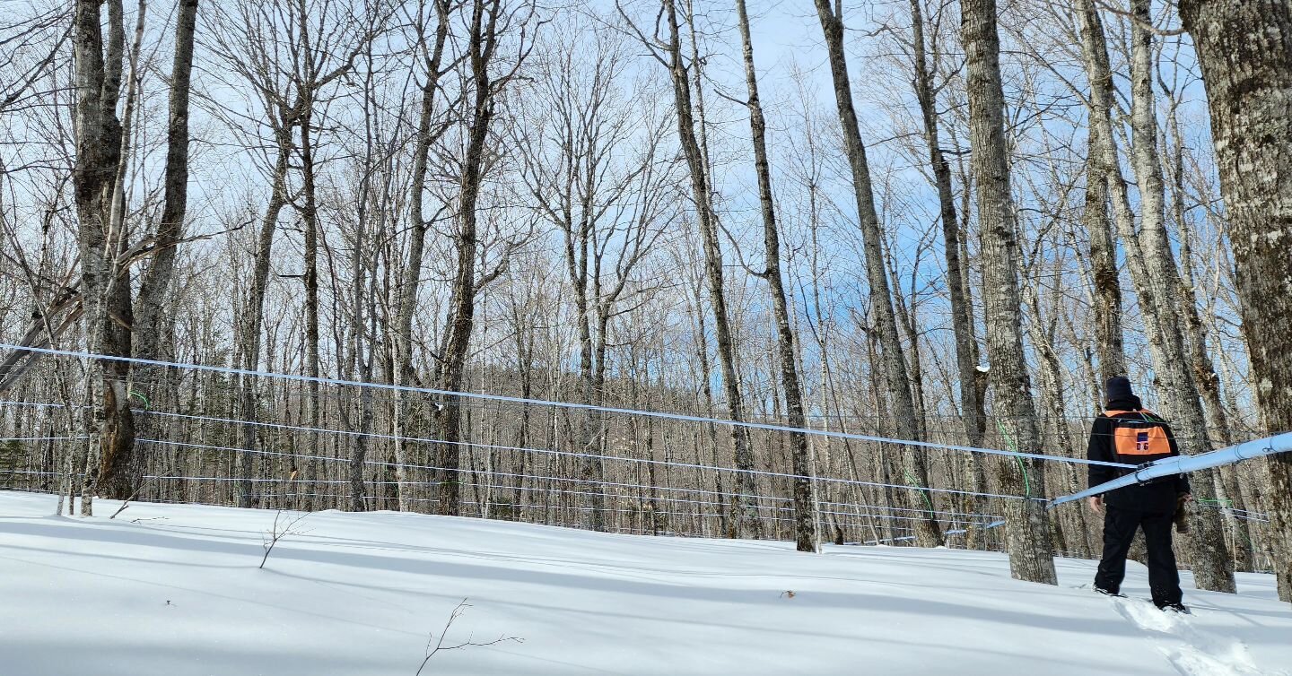 @farmdropus friends &amp; customers... only a couple weeks left to order!
Stock up on all of your maple syrup and local raw honey to get through the winter.  It's time for us to prepare for sugar season which means our Farmdrop store will be closed u