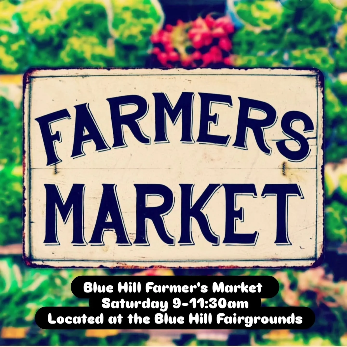 A picture perfect autumn day ahead! Kick off your Saturday at The Blue Hill Farmer's Market. Enjoy great music by &quot;The Leftovers&quot;  while browsing through our amazing local  vendors. 💐 🍅 🍁