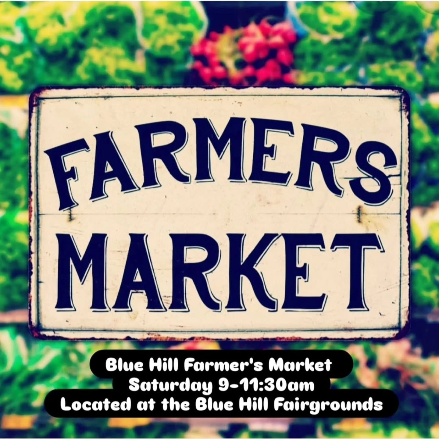 The weather looks glorious for the kick off of the @bluehillfarmersmarket.🌞 
Follow the signs once you drive in and you'll be sure to find us! We're just a bit to the right in a great new location within the Fairgrounds. 
Saturday,  9-11:30am