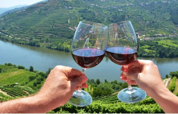 Saturday Wine Tasting at Unity Table: Eastern European Grapes