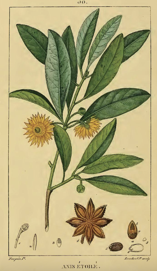 Unity Table Chef's Dinner: Chinese Flavor & Fire