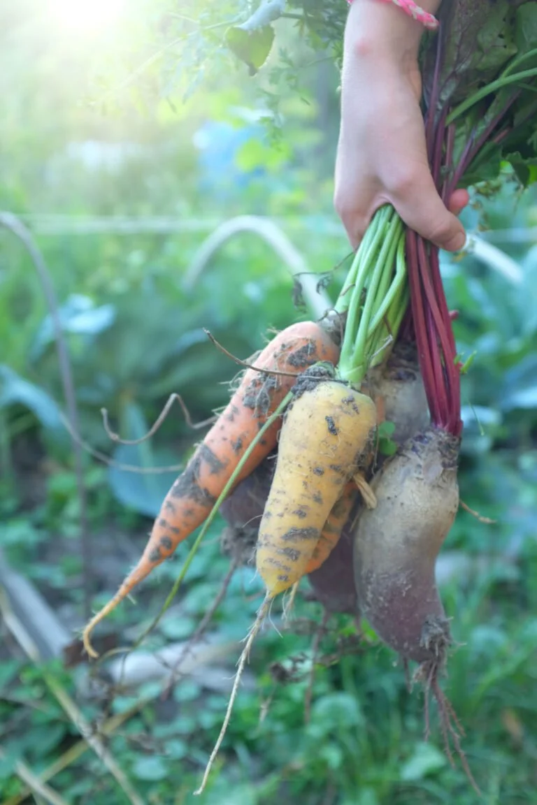 What The Heck Is This? What Can I Make With It? — Root Vegetables (AM Class)