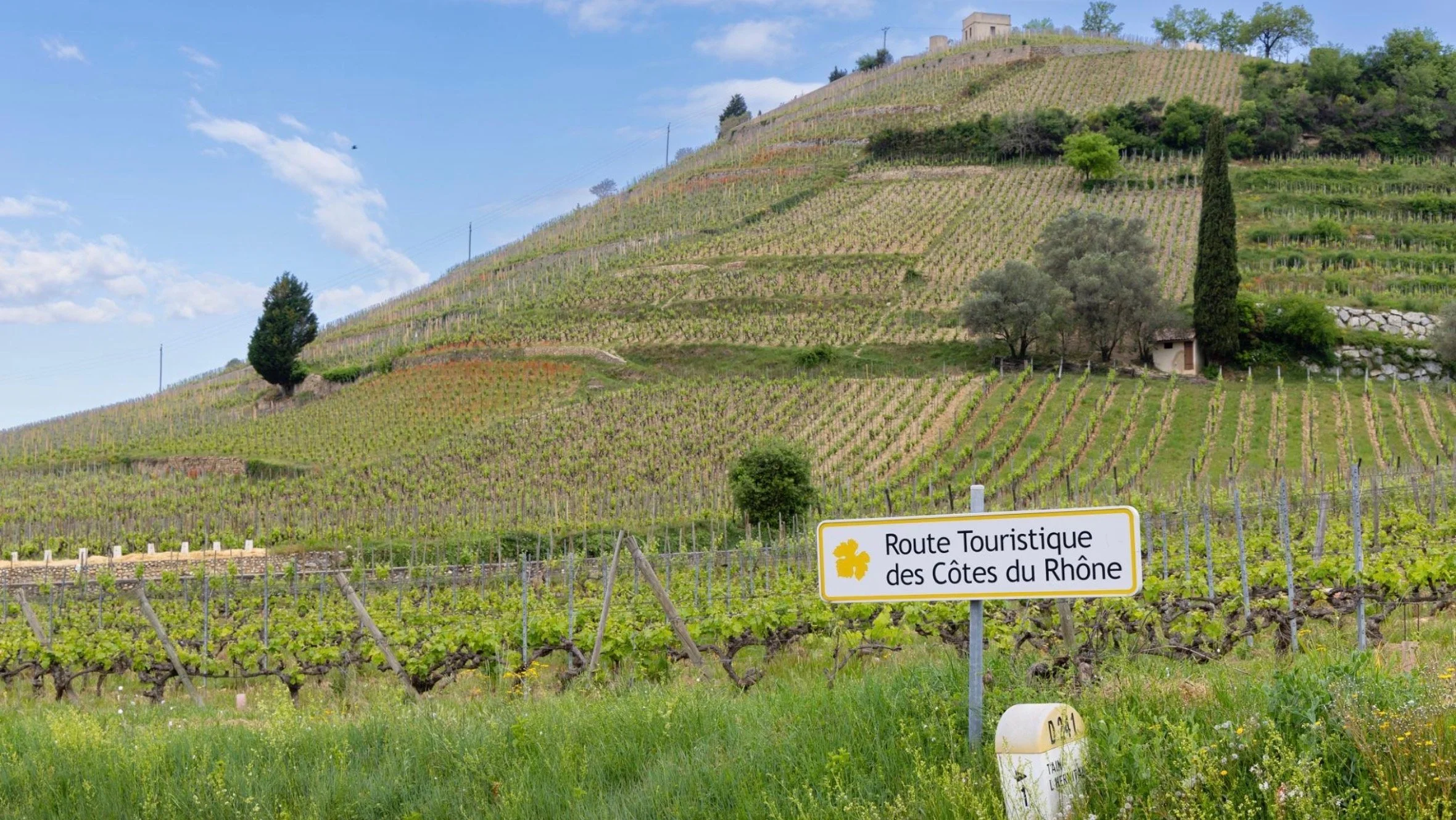 Saturday Wine Tasting at Unity Table: Wonderful Rhone Valley