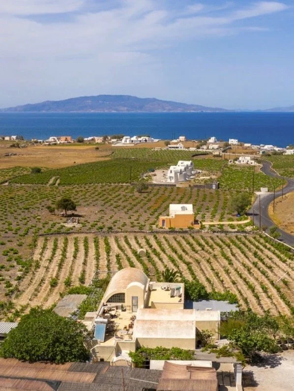 Saturday Wine Tasting at Unity Table: Wines of the Mediterranean