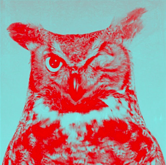 »Der Stillstand schenkt uns einen Denkraum« - Svenja Flaßpöhler