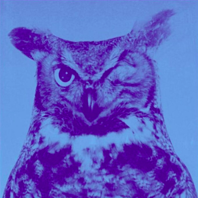 Philosophisches zur Lage / Finissage des Kunstprojektes »RollWest«